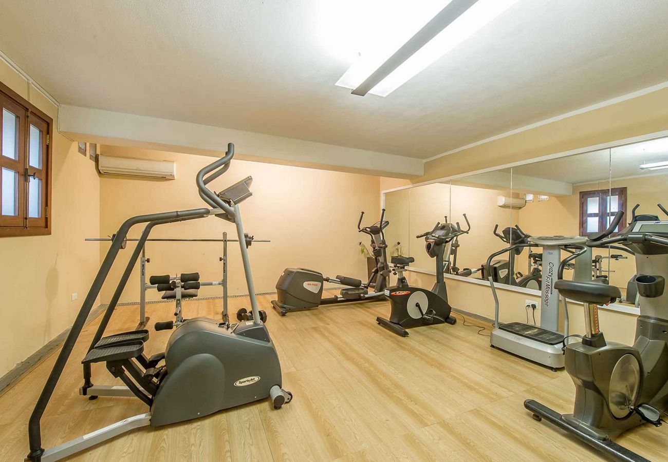 gozo holiday villa with gym
